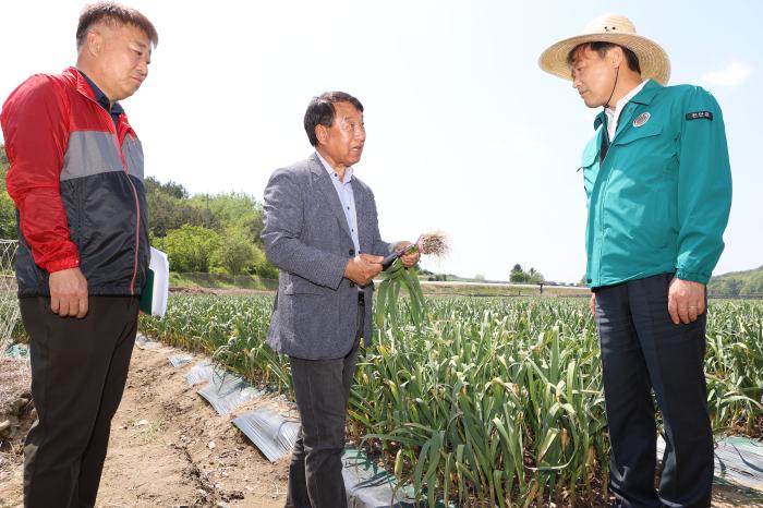 진안군, 노동력 절감을 위한 마늘 스마트기계화 시범사업 추진 기사 이미지