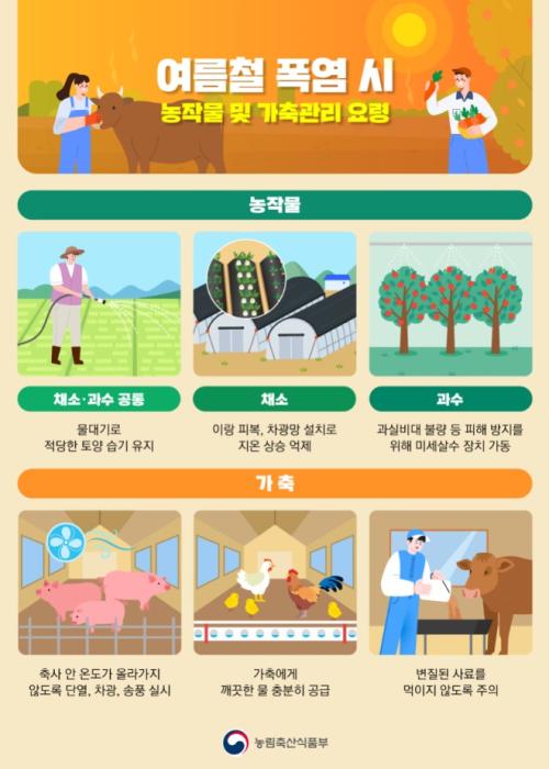전주시, 폭염 재개 대비 농업·축산 안전망 강화 기사 이미지