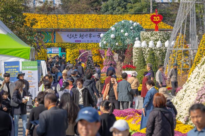 익산 천만송이 국화축제, 올해는 '활짝' 핀다 기사 이미지