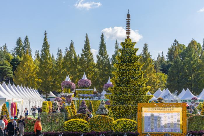 전국을 물들인 익산 천만송이 국화축제 대흥행 기사 이미지
