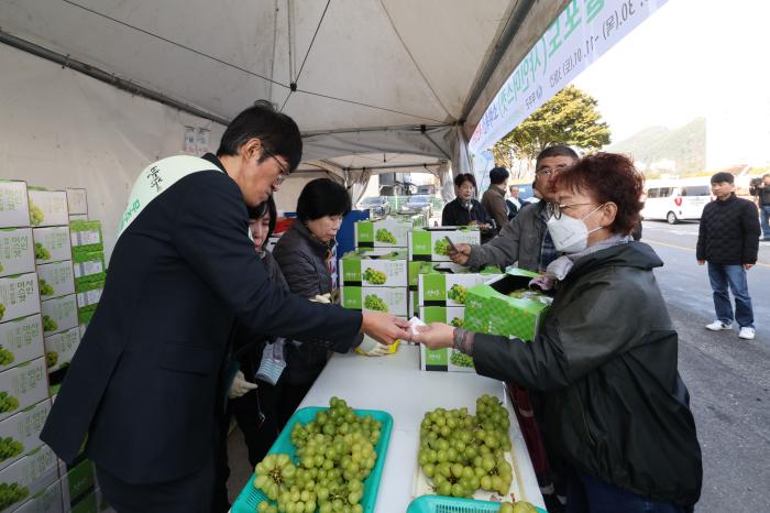 “무주 반딧불 샤인머스캣 맛보세요!” 기사 이미지