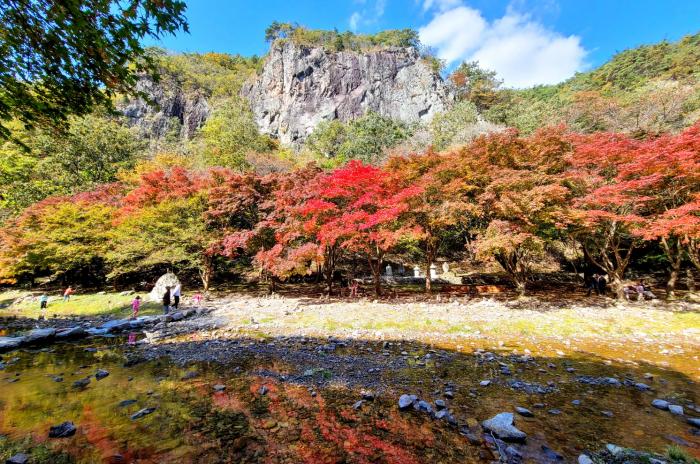 순창군, 강천산에서 ‘찍GO! 받GO! 투어 이벤트’ 진행 기사 이미지