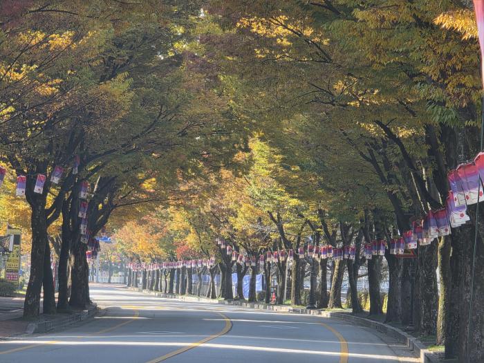 남원시 ‘도시바람길숲 조성사업’ 공모 선정 기사 이미지