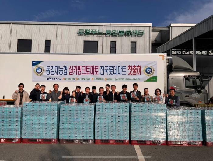 농업 소득 작물 ‘실키핑크토마토’ 롯데마트 첫 출하 기사 이미지