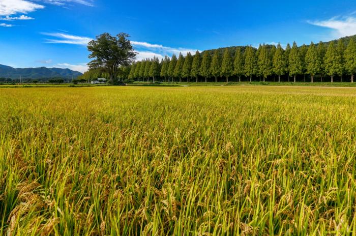 순창군, 농산물 우수관리(GAP) 인증 확대 기사 이미지