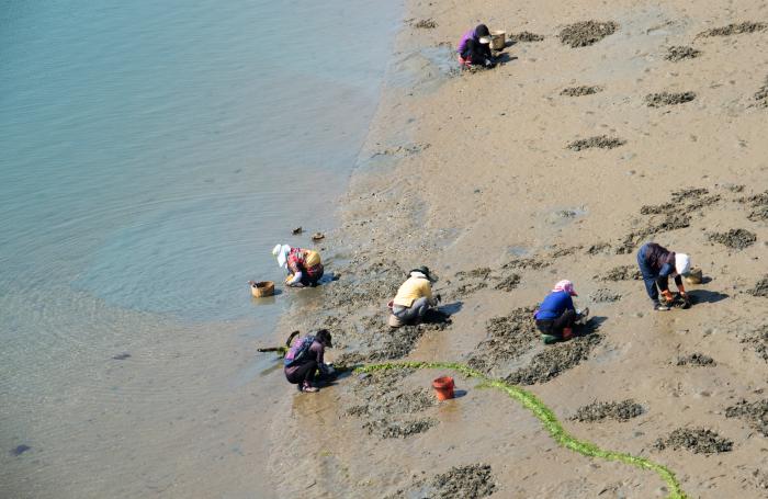 임종명 "전북도 어촌체험마을, 운영 부실에도 인건비 과다 지원" 기사 이미지