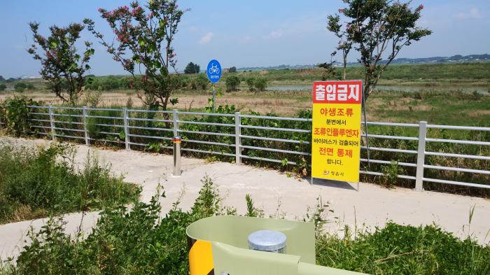 고병원성 AI '전국 2위 발생' 전북…겨울철 확산 차단 총력전 기사 이미지