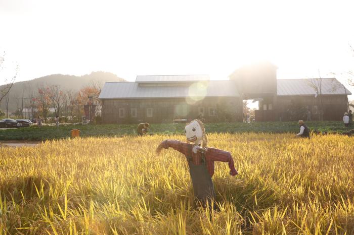 고창 상하농원, ‘한국관광의 별’ 지역상생관광모델 선정 기사 이미지