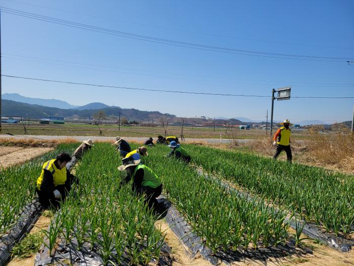 남원시, 기본형 공익직불금 1만2,928농가에 269억원 지급 기사 이미지