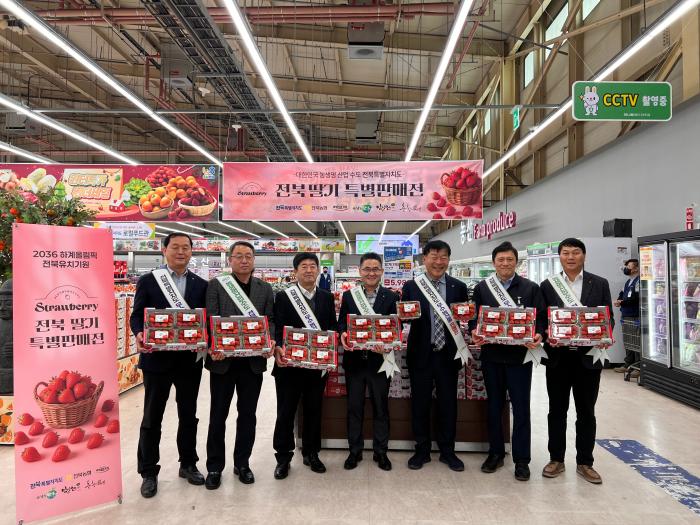 전북농협, 제철 딸기 특별판매전 실시 기사 이미지
