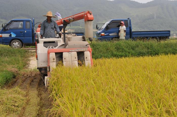 순창군, 친환경 쌀 소비 지원으로 농가·외식업체 ‘상생’ 기사 이미지