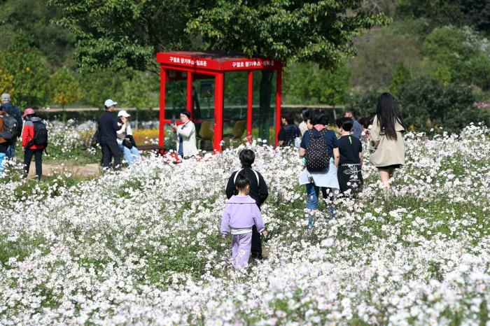 정읍시, 2025년 주요 관광지점 방문객 196만 명…전년 대비 32만 명 ‘껑충’ 기사 이미지