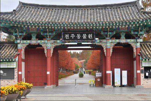 전주동물원 설 연휴기간 정상 운영 기사 이미지