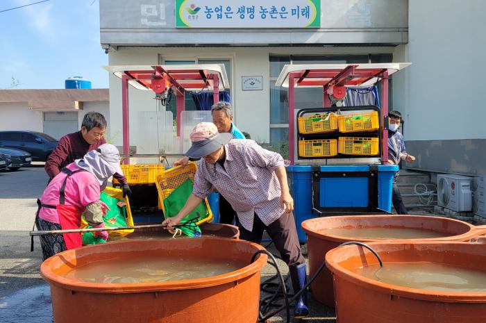 순창군, 벼 종자 온탕소독 지원으로 종자전염병 예방 추진 기사 이미지