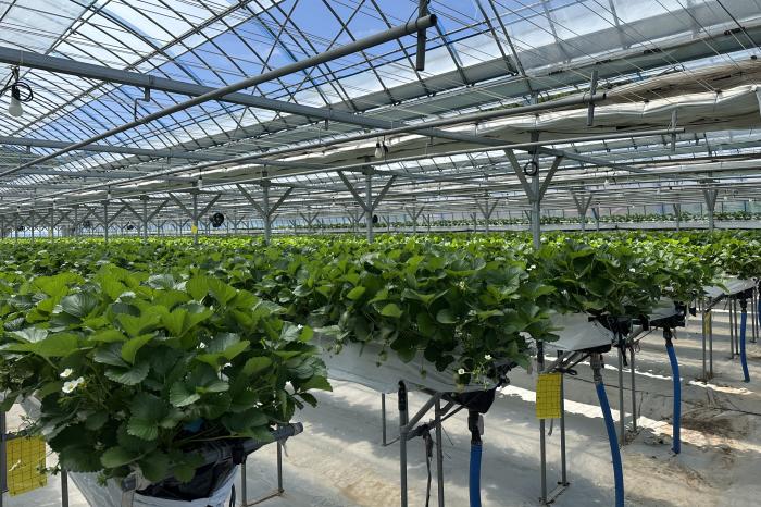 무주군, 지속 가능한 농업 추진 최선   기사 이미지