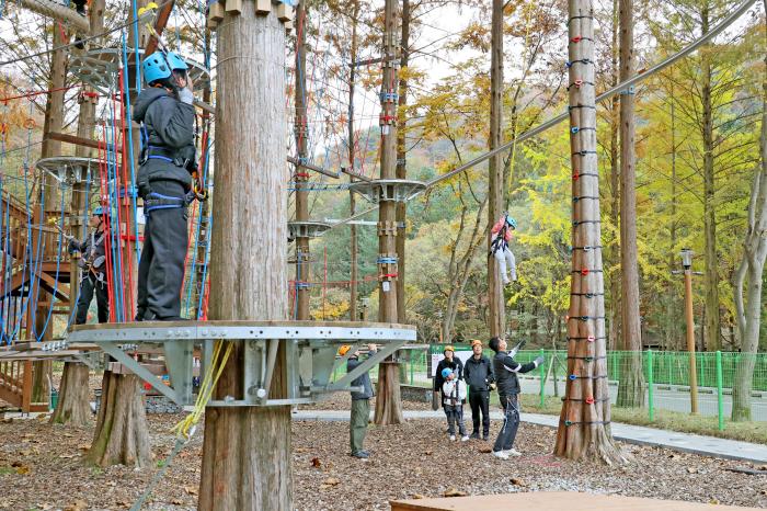 임실 성수산, 산림 레포츠·숲 해설 프로그램 본격 운영  기사 이미지