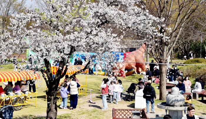 김제시, 봄날의 놀이동산 ‘2026 김제 꽃빛드리축제’ 4월 3일 개막 기사 이미지