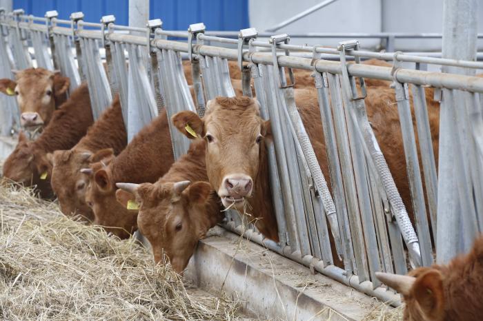 전북도, 사료구매자금 1564억 ‘전국 최대’ 지원 기사 이미지