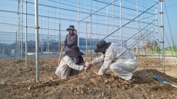 임실군, “과수 실증시험포” 조성으로 명품 과수산업 육성 박차 기사 이미지