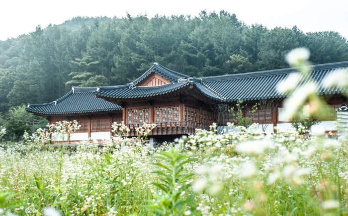 완주 대승한지마을, K-문화 열풍 타고 급부상 기사 이미지