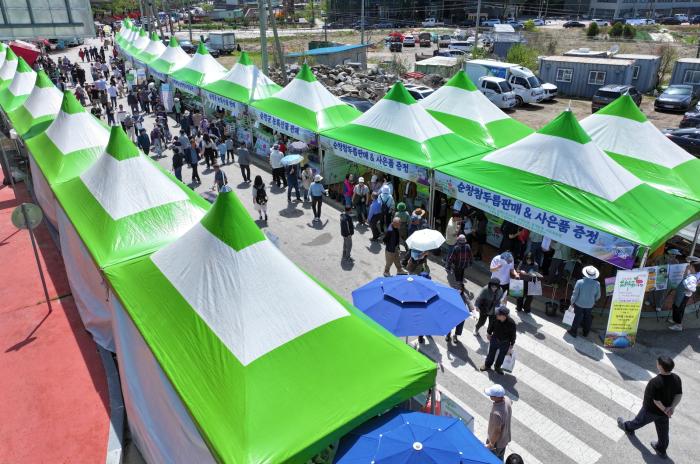 순창군‘제2회 참두릅 여행’ 성황 기사 이미지
