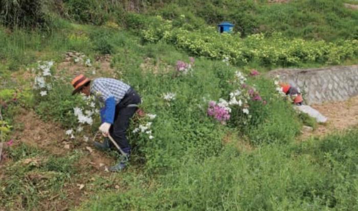 전주 학마을추진계획단, 제초작업 실시 기사 이미지