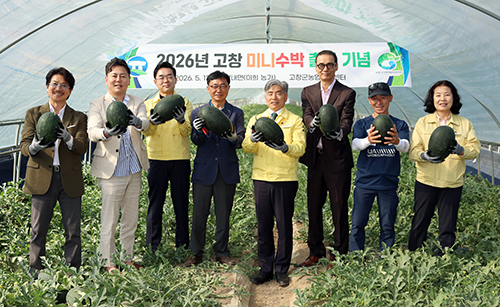 고창군, 미니수박 출하 시작 기사 이미지