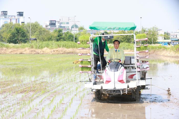 완주 삼례읍, ‘사랑 드리미’ 모내기… 연말 쌀 전달 기사 이미지