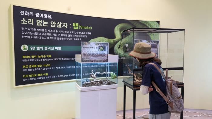 남원시, 여름방학 특별기획 「허브밸리를 찾아온 특별한 친구들!」 기사 이미지