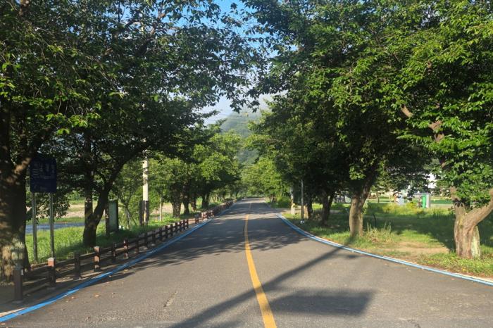 무주군, 안전하고 쾌적한 자전거 이용 환경 조성 기사 이미지