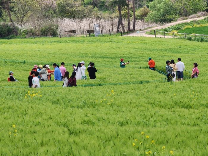 ‘머무는 고창’으로 관광의 새 도약 기사 이미지