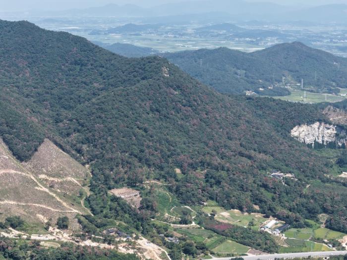 재선충 확산 막고 산림 회복…정읍시 하반기 방제 착수 기사 이미지